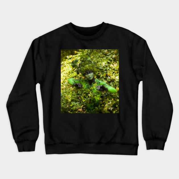 Faerie Queen Crewneck Sweatshirt by BruceHenryOriginalsLLC